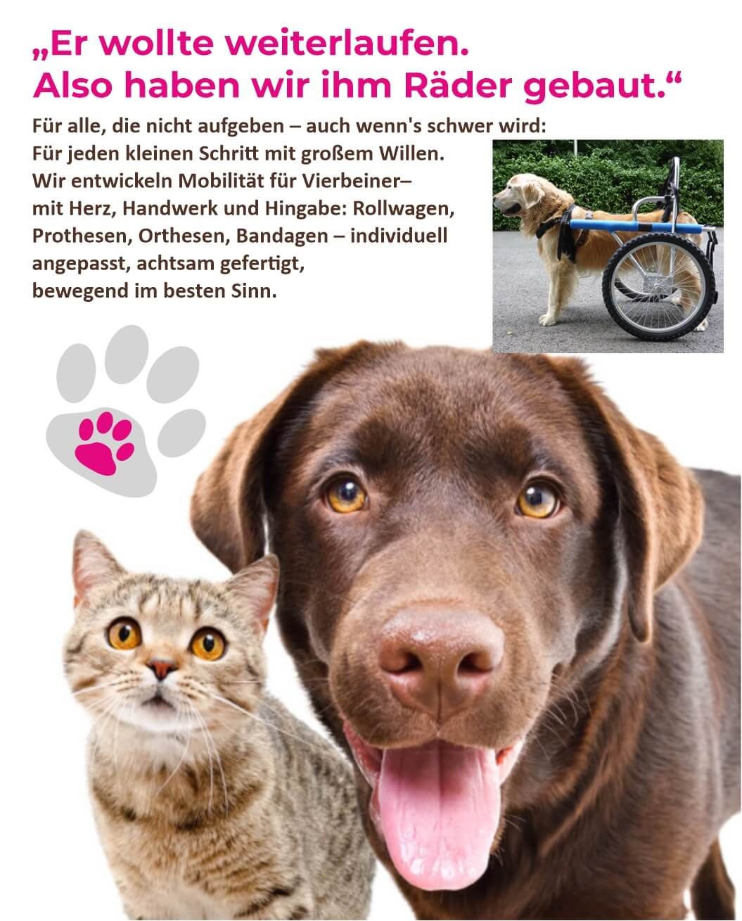 Frau mit Gitarre und pinker Kompressionsstrumpfhose