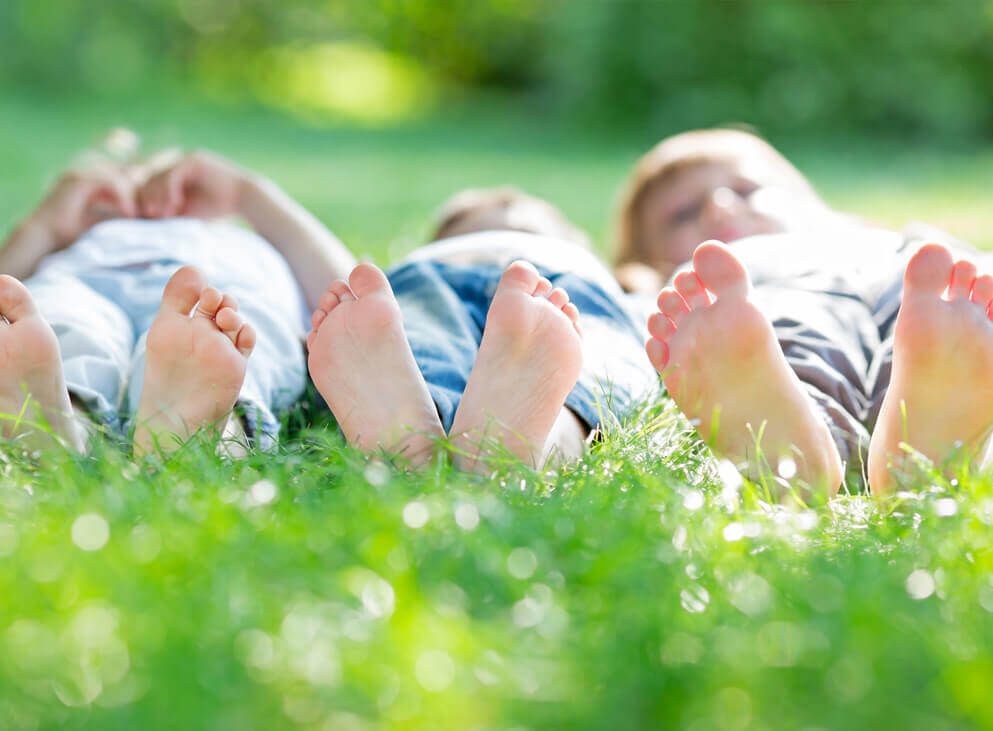 Kinder liegen auf einer Wiese 